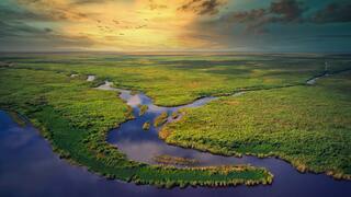 AerialEverglades_ZH-CN3388982881.jpg